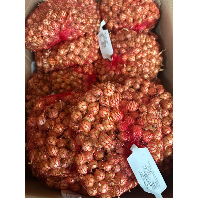 Casa si Gradina - Gradinarit si plante - Plante si ghivece - Bulbi, seminte si rasaduri - Bulbi Ceapa/Arpagic galben 'Stuttgarter Riessen', 1kg - Infinity.ro