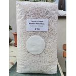 Casa si Gradina - Gradinarit si plante - Plante si ghivece - Bulbi, seminte si rasaduri - Set 3 pungi Miceliu (samanta) Pleurotus + Bonus - Infinity.ro