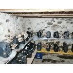 Casa si Gradina - Gradinarit si plante - Plante si ghivece - Bulbi, seminte si rasaduri - Miceliu pentru Pleurotus Italspawn - Infinity.ro