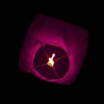 Casa si Gradina - Decoratiuni - Decoratiuni petrecere - Lampioane - Lampion zburator, flippy, hartie biodegradabila, roz, 30 x 35 cm - Infinity.ro