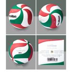 Sport si Outdoor - Sporturi de echipa - Accesorii si echipamente volei - Pachet 3 mingi volei Molten V5M4000 DVV2 + geanta transport - Infinity.ro