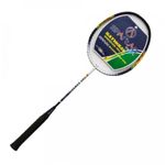 Sport si Outdoor - Sporturi cu paleta - Badminton - Rachete si fluturasi badminton - Racheta badminton Spartan Calypso, pentru antrenament - Infinity.ro