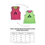 Sport si Outdoor - Echipament Sportiv - Imbracaminte sport - Maiouri sport - Maieu departajare Anastasia Sport fata dubla roz / verde, marime XS - Infinity.ro