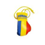 Sport si Outdoor - Accesorii si echipamente sportive - Alte accesorii sportive - Breloc mini manusi box Anastasia Sport cu tricolorul Romaniei - Infinity.ro
