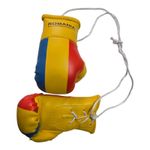Sport si Outdoor - Accesorii si echipamente sportive - Alte accesorii sportive - Breloc mini manusi box Anastasia Sport cu tricolorul Romaniei - Infinity.ro