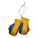 Sport si Outdoor - Accesorii si echipamente sportive - Alte accesorii sportive - Breloc mini manusi box Anastasia Sport cu tricolorul Romaniei - Infinity.ro