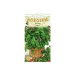 Casa si Gradina - Gradinarit si plante - Plante si ghivece - Bulbi, seminte si rasaduri - Seminte,Oregano 0.20gr - Infinity.ro