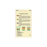 Casa si Gradina - Gradinarit si plante - Plante si ghivece - Bulbi, seminte si rasaduri - Seminte,Coriandru 2gr - Infinity.ro