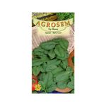 Casa si Gradina - Gradinarit si plante - Plante si ghivece - Bulbi, seminte si rasaduri - Seminte,Spanac Baby leaf 8gr - Infinity.ro