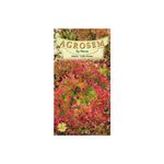 Casa si Gradina - Gradinarit si plante - Plante si ghivece - Bulbi, seminte si rasaduri - Seminte,Salata Lollo Rossa 1gr - Infinity.ro
