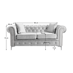 Casa si Gradina - Mobilier - Canapele si coltare - Canapele - Canapea 2 locuri, stofa gri deschis Velvet, ROMANO - Infinity.ro