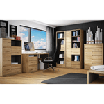 Casa si Gradina - Mobilier - Biblioteci si rafturi - Rafturi - Raft, stejar shetland, SHELDON TIP 12 - Infinity.ro