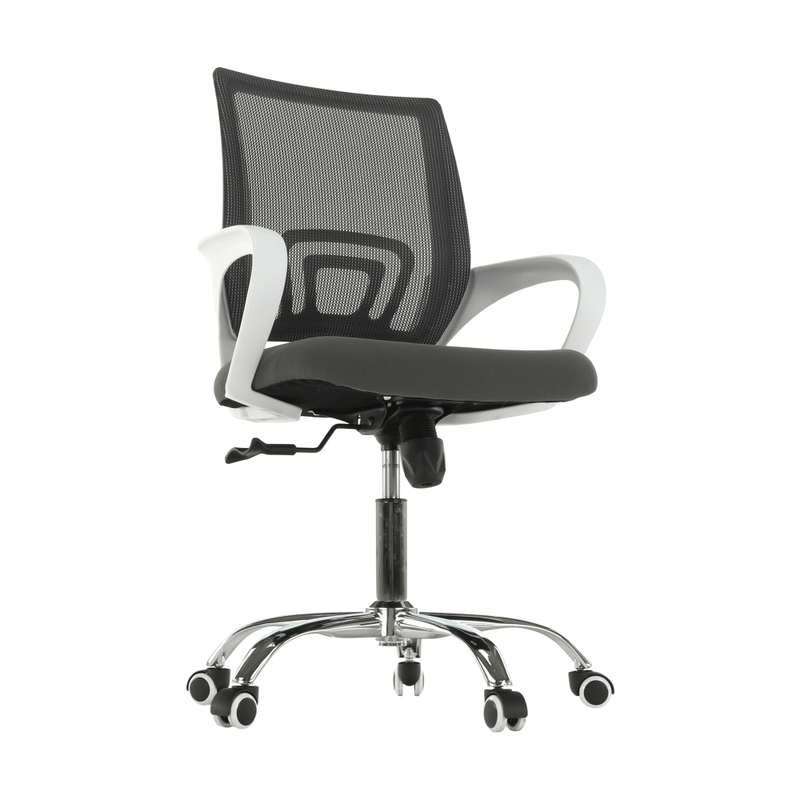 Casa si Gradina - Mobilier - Scaune si fotolii - Fotolii - Fotoliu de birou, gri/alb, SANAZ TYP 2 - Infinity.ro