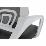 Casa si Gradina - Mobilier - Scaune si fotolii - Fotolii - Fotoliu de birou, gri/alb, SANAZ TYP 2 - Infinity.ro