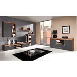 Casa si Gradina - Mobilier - Dulapuri si sifoniere - Dulapuri - Vitrina suspendabila CHERIS 4, prun/grafit gri - Infinity.ro