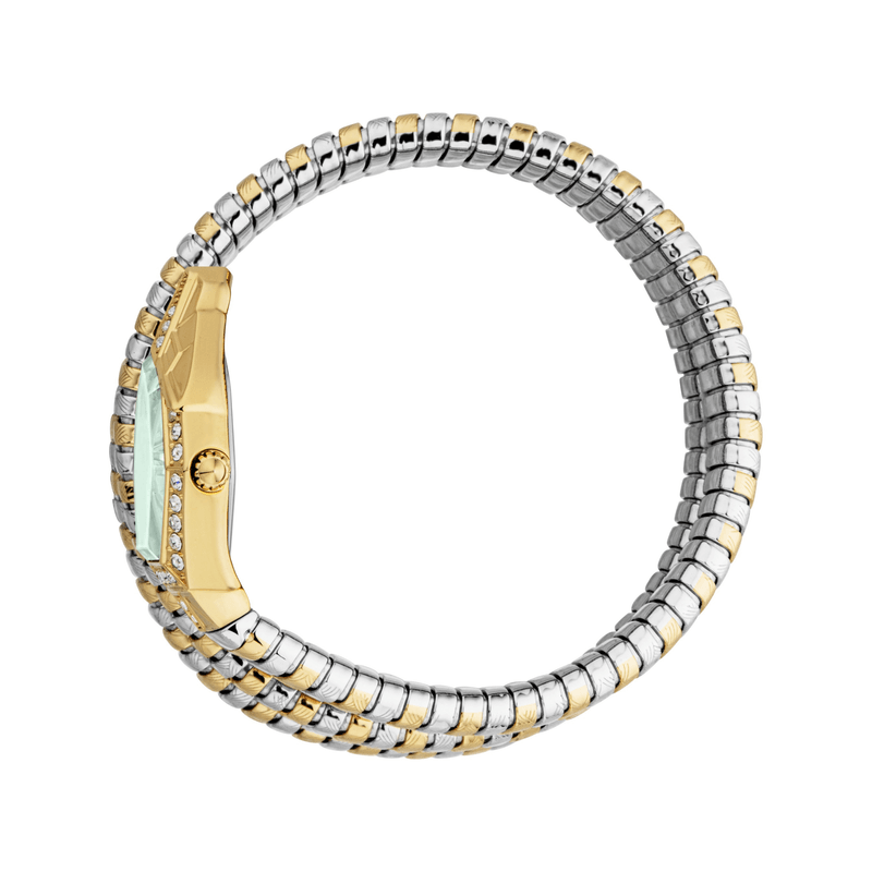 Fashion, accesorii si bijuterii - Femei - Bijuterii femei - Ceasuri femei - Ceas Dama Just Cavalli Mesmerizing JC1L304M0065 - Infinity.ro