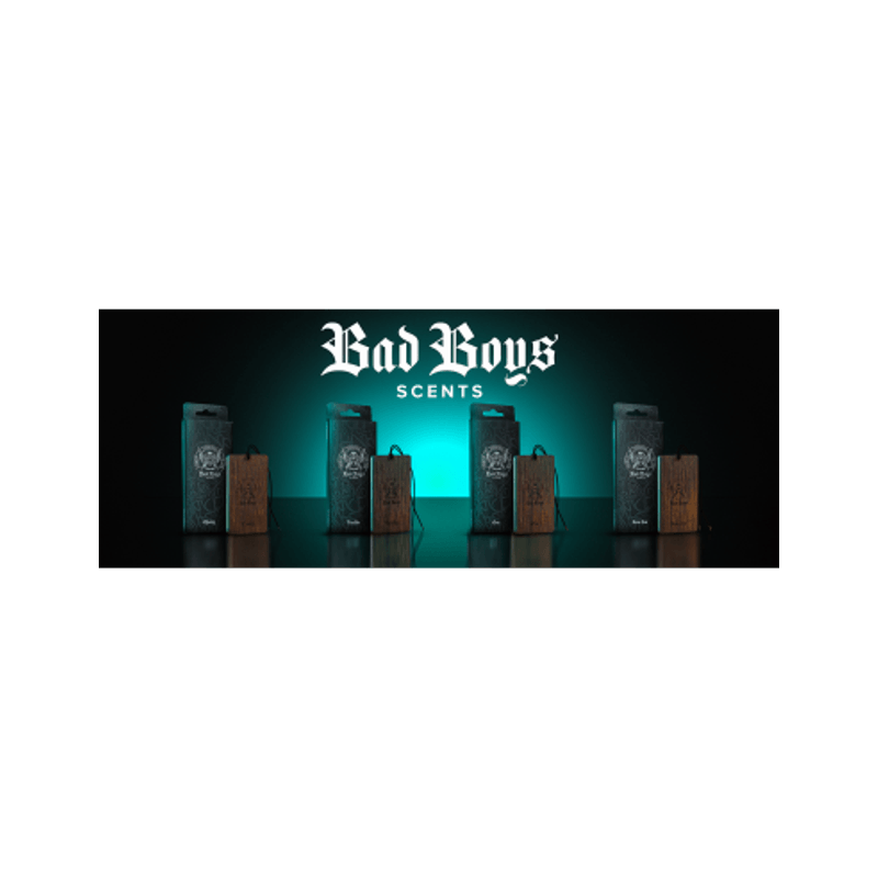 Auto si Moto - Intretinere auto - Odorizante auto - Odorizant Auto BadBoys One Scented Pendant - Infinity.ro