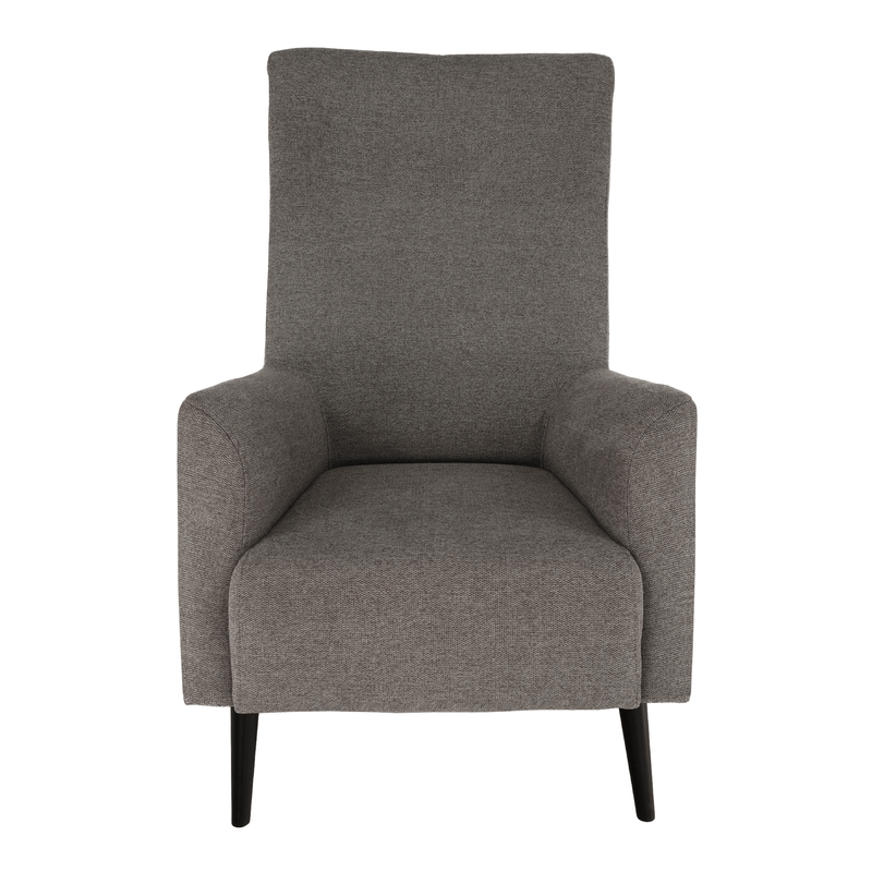 Casa si Gradina - Mobilier - Scaune si fotolii - Fotolii - Fotoliu cu urechi, gri/ negru, SAMY - Infinity.ro