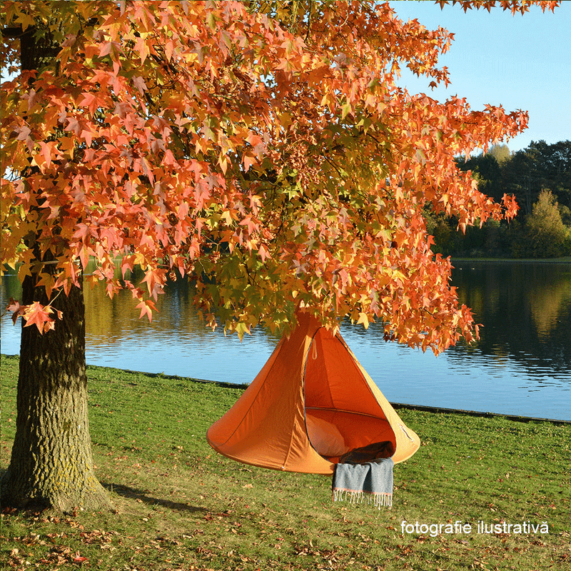 Casa si Gradina - Gradina si terasa - Balansoare si hamace - Balansoare - Scaun suspendabil balansoar, gri deschis, KLORIN BIG SIZE - Infinity.ro