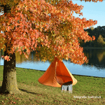 Casa si Gradina - Gradina si terasa - Balansoare si hamace - Balansoare - Scaun suspendabil balansoar, verde, KLORIN NEW KLASIK - Infinity.ro