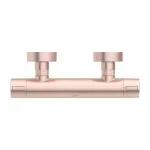 Casa si Gradina - Sanitare - Lavoar baie si accesorii - Baterii sanitare - Baterie dus termostatata Ideal Standard Alu+ rose mat din aluminiu - Infinity.ro