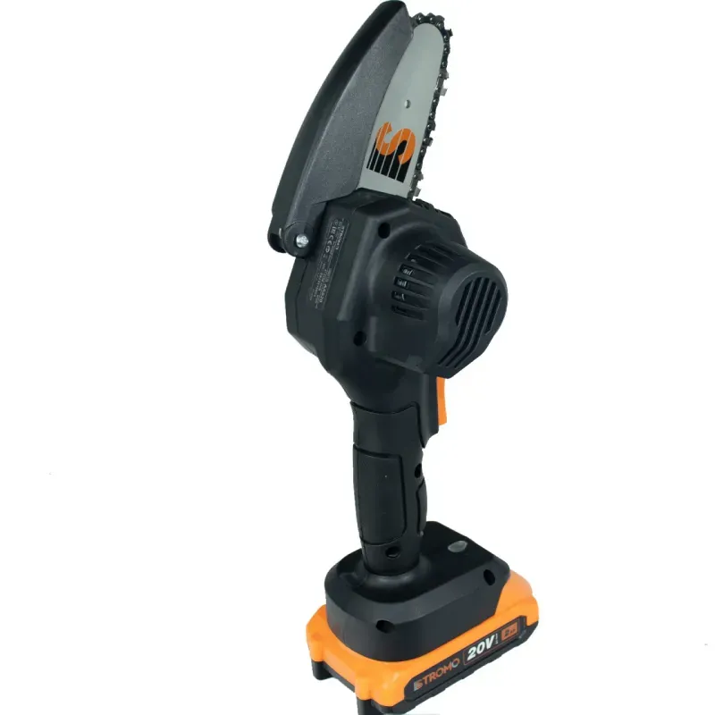 Casa si Gradina - Gradinarit si plante - Utilaje gradina - Fierastraie cu lant - Fierastrau cu lant pe acumulator AAS20 - Infinity.ro