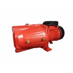 Casa si Gradina - Gradinarit si plante - Instalatii si accesorii pentru irigatii - Pompe apa - Pompa de suprafata, 220V - Infinity.ro