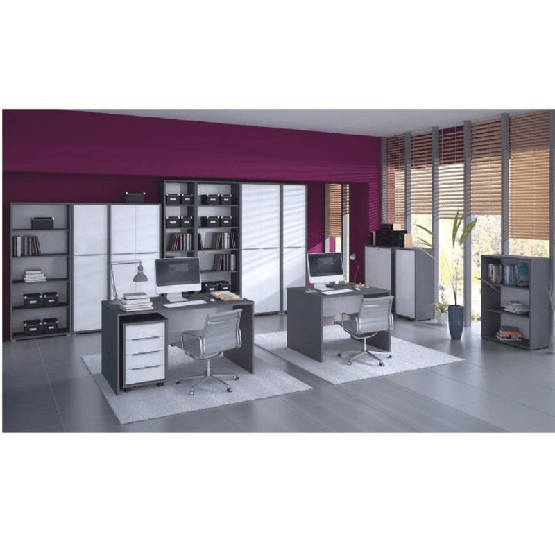 Casa si Gradina - Mobilier - Comode si corpuri - Comode - Comoda cu sertare, grafit/alba, RIOMA NEW TIPUL 22 - Infinity.ro