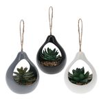 Casa si Gradina - Decoratiuni - Obiecte decorative - Plante artificiale - Planta artificiala Suculenta , in suport ceramic negru tip picatura, 14 cm, cu agatatoare din sfoara - Infinity.ro