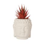 Casa si Gradina - Decoratiuni - Obiecte decorative - Plante artificiale - Planta artificiala Suculenta in ghiveci de ciment 12.5 cm, forma de statueta cap Buddha, alb cu rosu - Infinity.ro