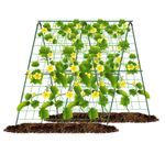 Casa si Gradina - Gradinarit si plante - Plante si ghivece - Plante in ghiveci - Spalier pliabil tip A pentru gradina, suport plante si legume cataratoare pe sfoara, JollyMag, OA03 - Infinity.ro