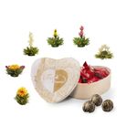 Market - Cafea si ceaiuri - Ceaiuri - Set cadou Creano ErbluhTee, cutie din lemn in forma de inima cu 6 bile ceai infloritor din ceai alb,6 varietati - Infinity.ro