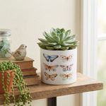 Casa si Gradina - Gradinarit si plante - Plante si ghivece - Ghivece si suporturi - Ghiveci decorativ ceramic, alb cu ilustratii cu fluturi, pentru plante si flori, design modern 13.5x12.5 cm - Infinity.ro