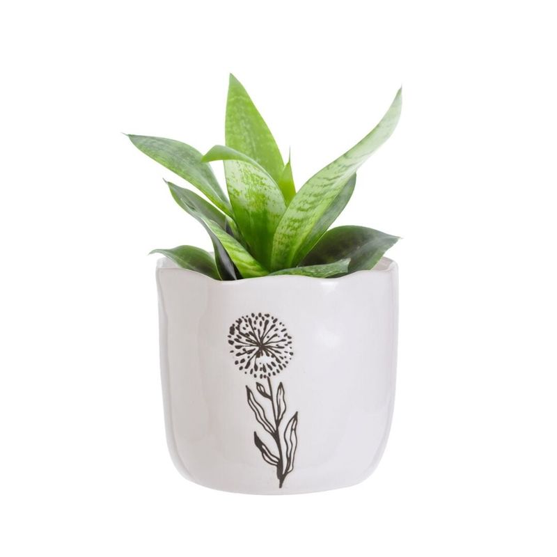Casa si Gradina - Gradinarit si plante - Plante si ghivece - Ghivece si suporturi - Masca ghiveci decorativ, pentru plante si flori, din portelan alb cu model floral, 13x15 cm - Infinity.ro