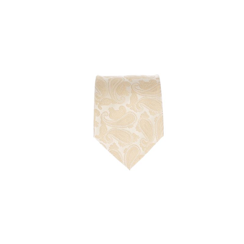 Fashion, accesorii si bijuterii - Femei - Accesorii femei - Genti si rucsacuri femei - Cravata barbateasca, Buticcochet, din material sintetic, 148 x 7 cm, Multicolor - CRV376 - Infinity.ro