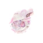 Fashion, accesorii si bijuterii - Femei - Accesorii femei - Esarfe si fulare femei - Esarfa de dama, din 30% viscoza 70% poliester, Buticcochet, 68x180 cm, Multicolor - ES3300 - Infinity.ro