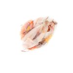 Fashion, accesorii si bijuterii - Femei - Accesorii femei - Esarfe si fulare femei - Esarfa de dama, din 30% viscoza 70% poliester, Buticcochet, 68x180 cm, Multicolor - ES3309 - Infinity.ro