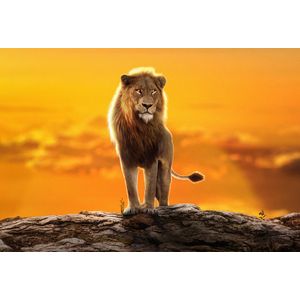 Poster 2022 The Lion King Simba, 61x90cm, poster1935, Zumzeria ®