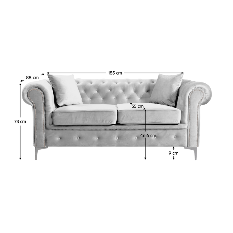 Casa si Gradina - Mobilier - Canapele si coltare - Canapele - Canapea extensibila de lux 2 locuri, stofa gri deschis Velvet, ROMANO - Infinity.ro