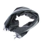 Fashion, accesorii si bijuterii - Barbati - Accesorii barbati - Esarfe si fulare barbati - Esarfa barbati, din lana, pashmina, 31x170 cm, Buticcochet, Bleumarin - ES3200 - Infinity.ro