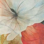 Fashion, accesorii si bijuterii - Femei - Accesorii femei - Esarfe si fulare femei - Esarfa de dama, din 30% viscoza 70% poliester, Buticcochet, 68x180 cm, Multicolor - ES3328 - Infinity.ro