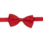Fashion, accesorii si bijuterii - Copii - Accesorii copii - Alte accesorii copii - Papion pentru copii, Buticcochet, Rosu, 9x5 cm - PAPC201 - Infinity.ro