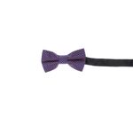 Fashion, accesorii si bijuterii - Copii - Accesorii copii - Alte accesorii copii - Papion pentru copii, Buticcochet, 9x5 cm, model stilizat, Bleumarin - PAPC271 - Infinity.ro