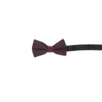 Fashion, accesorii si bijuterii - Copii - Accesorii copii - Alte accesorii copii - Papion pentru copii, Buticcochet, 9x5 cm, model stilizat, Bordo - PAPC272 - Infinity.ro