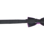 Fashion, accesorii si bijuterii - Copii - Accesorii copii - Alte accesorii copii - Papion pentru copii, Buticcochet, 9x5 cm, model liniar, Mov inchis - PAPC249 - Infinity.ro