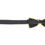 Fashion, accesorii si bijuterii - Copii - Accesorii copii - Alte accesorii copii - Papion pentru copii, Buticcochet, 9x5 cm, model liniar, Galben mustar - PAPC259 - Infinity.ro