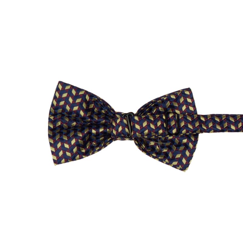 Fashion, accesorii si bijuterii - Barbati - Accesorii barbati - Cravate si papioane barbati - Set 3 piese, papion, butoni si batista, pentru barbati, cu imprimeu stilizat multicolor - SETP223 - Infinity.ro