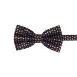 Fashion, accesorii si bijuterii - Barbati - Accesorii barbati - Cravate si papioane barbati - Set 3 piese, papion, butoni si batista, pentru barbati, cu imprimeu stilizat multicolor - SETP223 - Infinity.ro