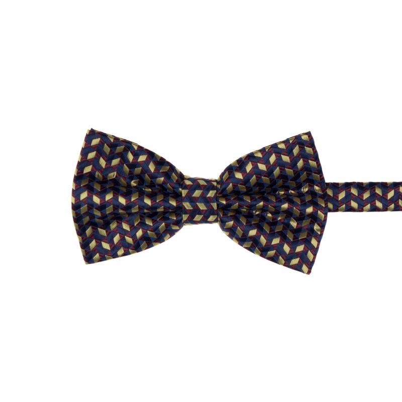 Fashion, accesorii si bijuterii - Barbati - Accesorii barbati - Cravate si papioane barbati - Set 3 piese, papion, butoni si batista, pentru barbati, cu imprimeu stilizat multicolor - SETP223 - Infinity.ro