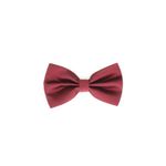 Fashion, accesorii si bijuterii - Barbati - Accesorii barbati - Cravate si papioane barbati - Papion barbatesc, Buticcochet, din material sintetic, 7x12 cm, Visiniu - PAP256 - Infinity.ro